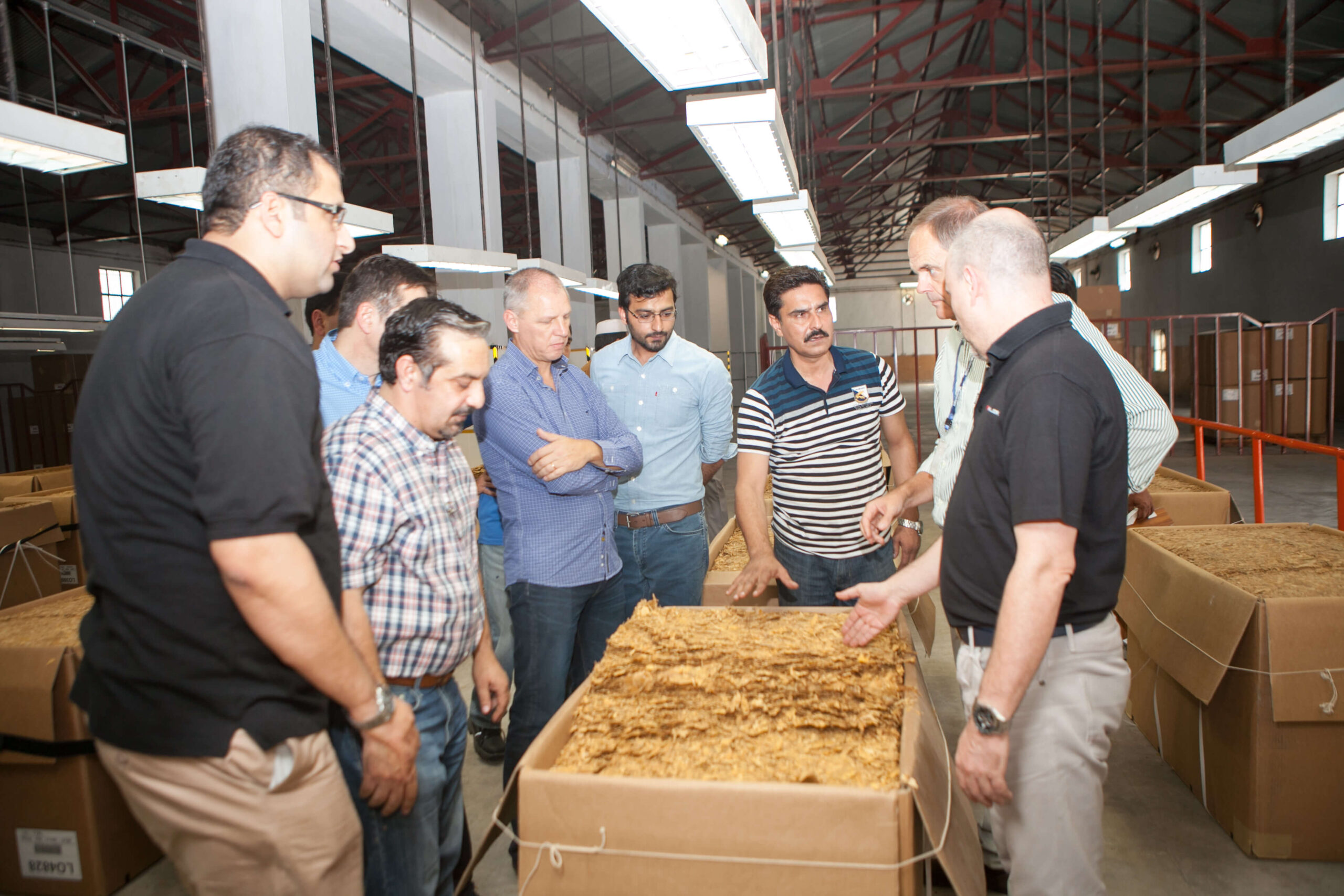 Packed leaf tobacco bales